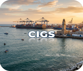 Soporte Estadístico